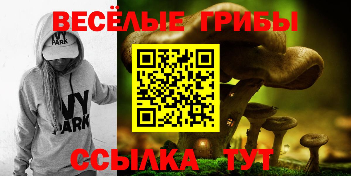 Биробиджан  Псилоцибиновые грибы мухоморы  Вход с VPN 