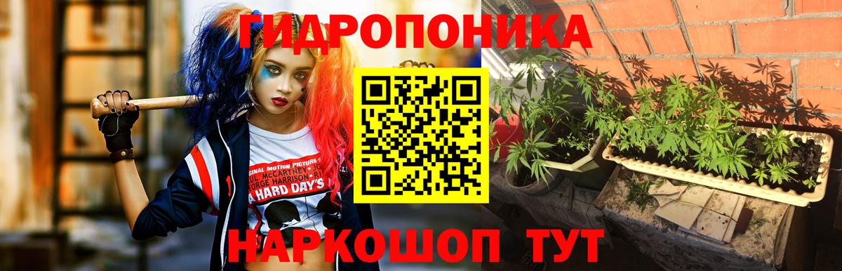 Шишки марихуана индика Биробиджан